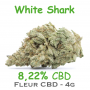 WHITE SHARK - FLEUR 8,22% CBD
