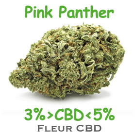 PINK PANTHER - FLEUR 3 à 5% CBD