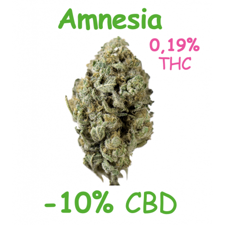 AMNESIA - FLEUR -10% CBD