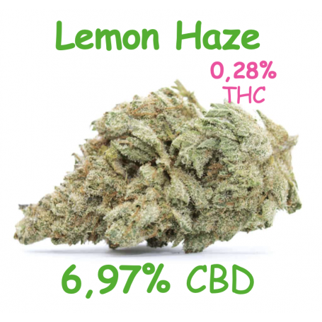 LEMON HAZE - FLEUR 6,97% CBD